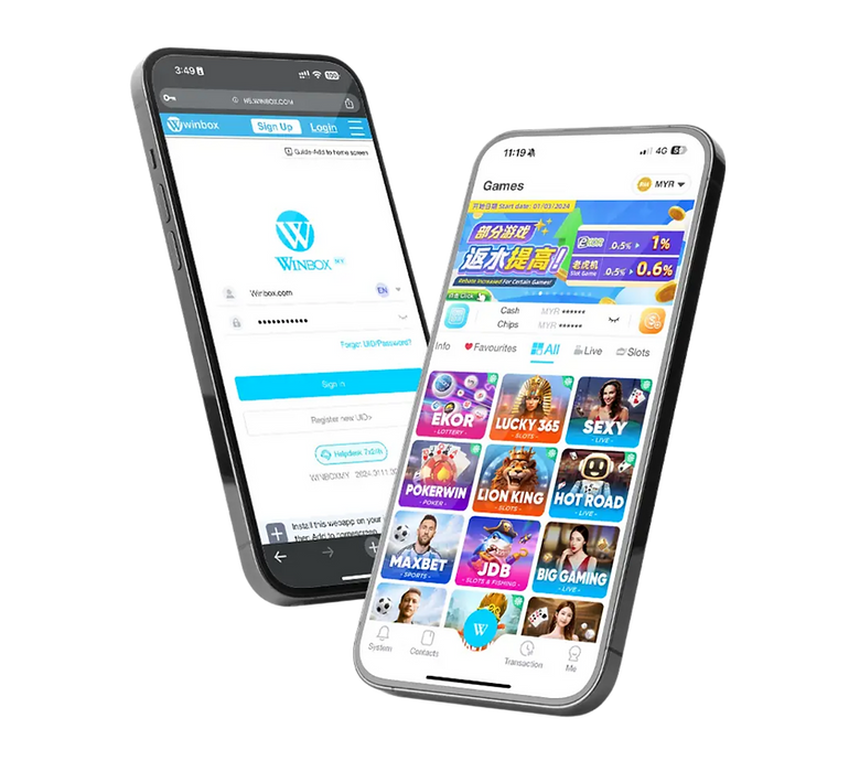 Winbox iOS app preview